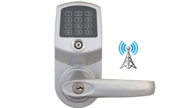 khoc_do_meu_do_vi_khoa_cua_thong_minh